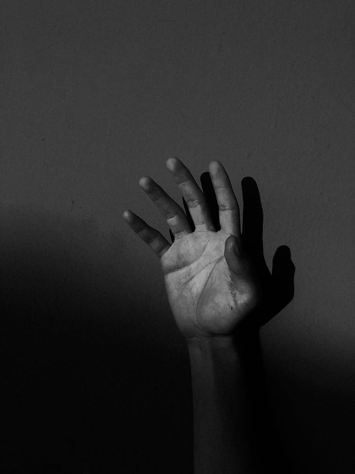 pexels photo 2425100 A captivating monochrome image of a raised hand casting a shadow on a wall, creating a dramatic effect.